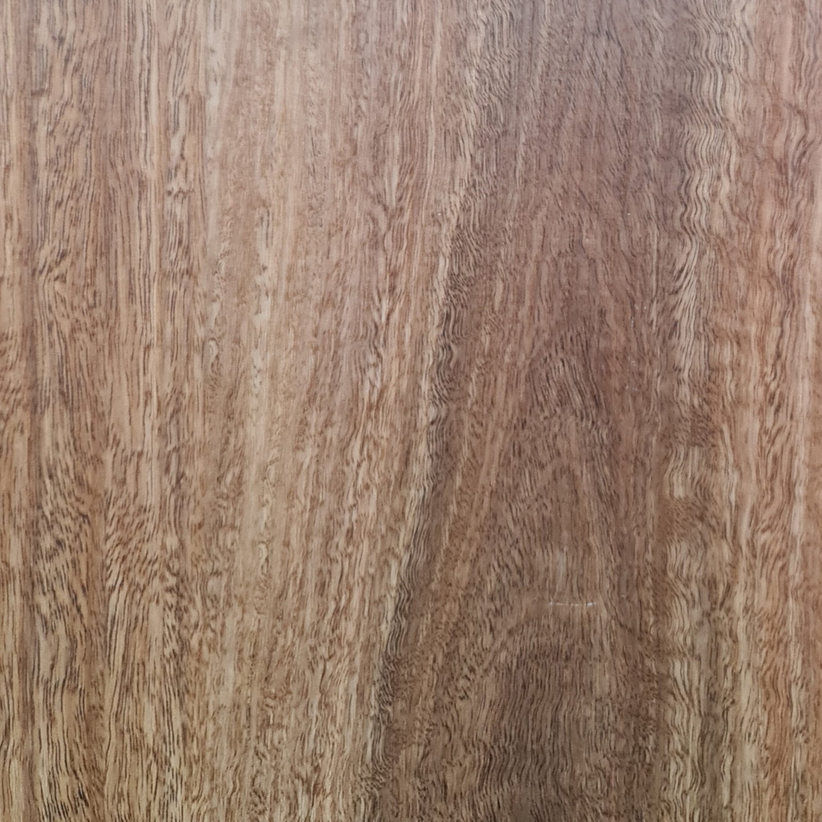 SPC HYBRID FLOORING SPOTTED GUM 6.5MM